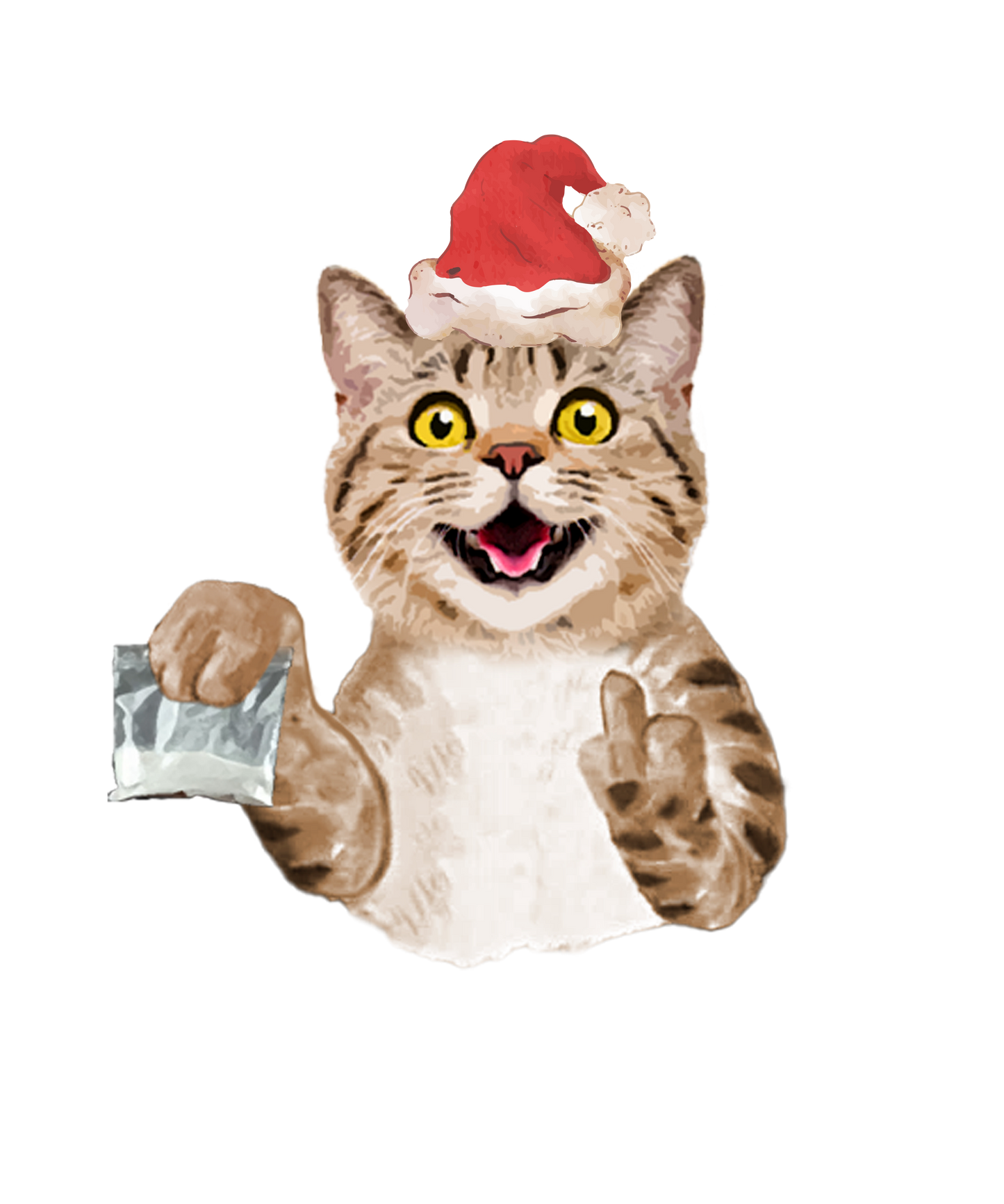 Santa Kitty Treat Pocket Tee